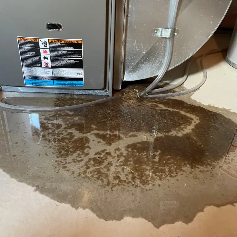 Appliance Leak Cleanup in Lee County, AL